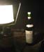 setup30
