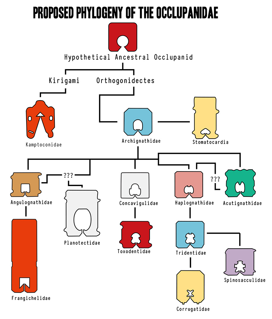 Taxonomy Chart