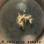fibertest_04